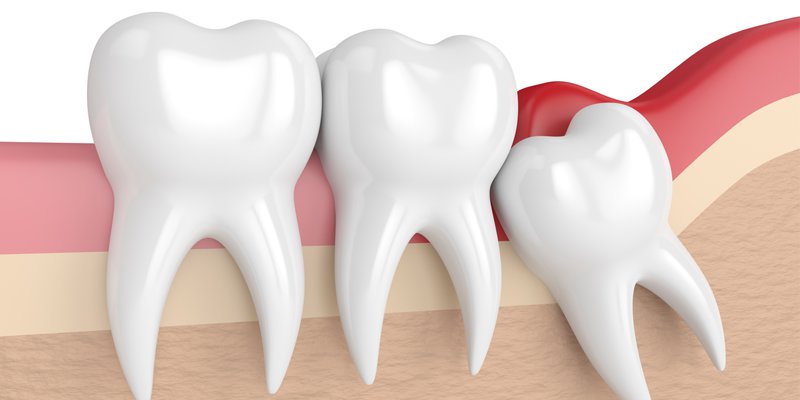 Teeth